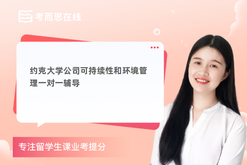 约克大学公司可持续性和环境管理一对一辅导