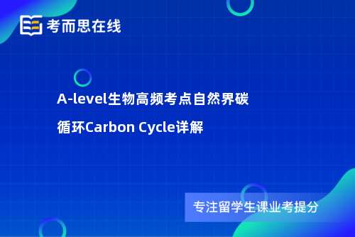 A-level生物高频考点自然界碳循环Carbon Cycle详解