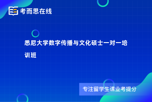 悉尼大学数字传播与文化硕士一对一培训班