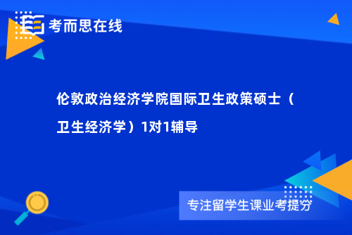 伦敦政治经济学院国际卫生政策硕士（卫生经济学）1对1辅导