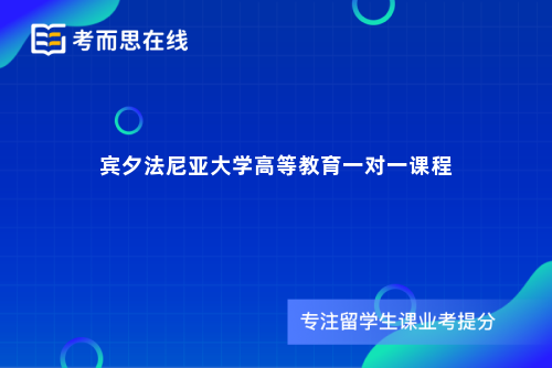 宾夕法尼亚大学高等教育一对一课程