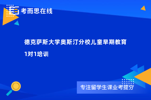 德克萨斯大学奥斯汀分校儿童早期教育1对1培训