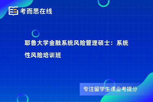 耶鲁大学金融系统风险管理硕士：系统性风险培训班