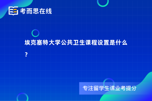 埃克塞特大学公共卫生课程设置是什么？
