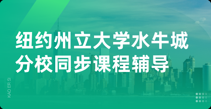 纽约州立大学水牛城分校同步课程辅导