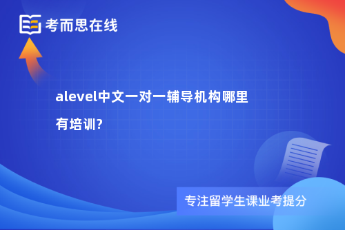 alevel中文一对一辅导机构哪里有培训?