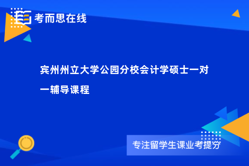 宾州州立大学公园分校会计学硕士一对一辅导课程