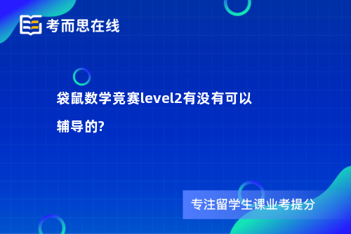 袋鼠数学竞赛level2有没有可以辅导的?