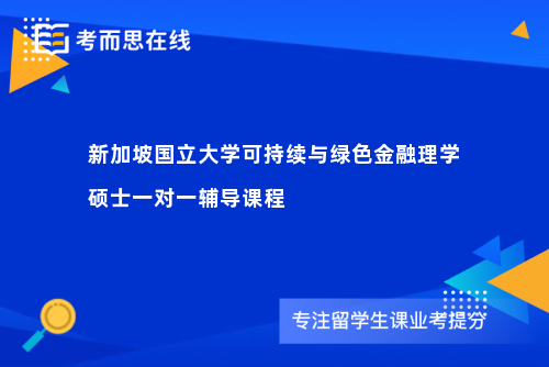 新加坡国立大学可持续与绿色金融理学硕士一对一辅导课程