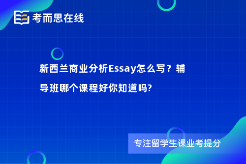 新西兰商业分析Essay怎么写？辅导班哪个课程好你知道吗?