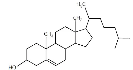 IGCSE化学课程常见结构式有哪些?知识点解析!