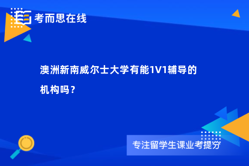 澳洲新南威尔士大学有能1V1辅导的机构吗？