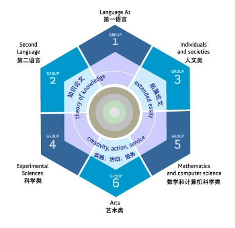IB课程体系六大学科有哪些?全面分析!