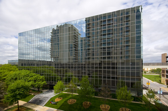 达拉斯艺术学院论文补习辅导课程