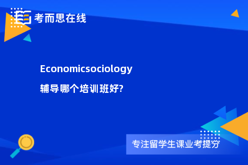 Economicsociology辅导哪个培训班好?