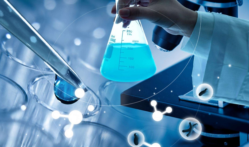 生物医学科学培训一对一怎么选择？