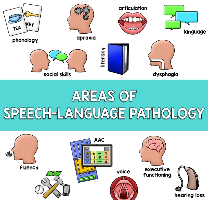 语言病理学研究硕士培训有哪些？如何找到靠谱的？