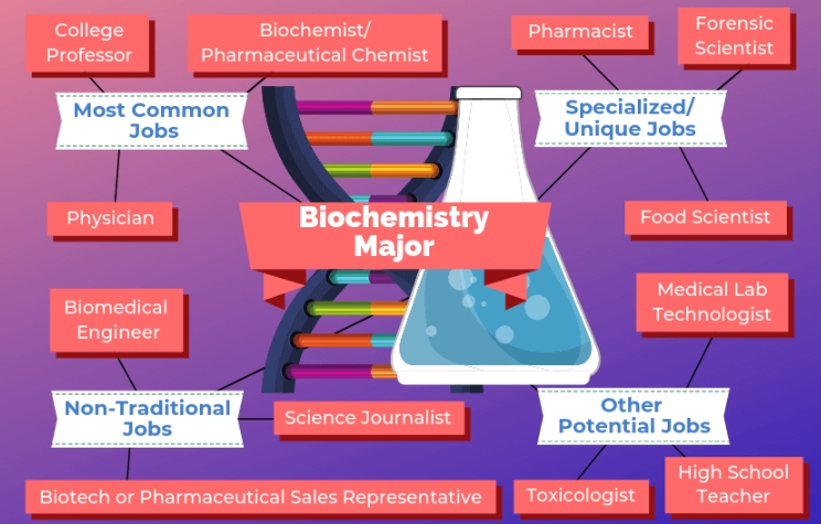Biochemistry培训线上机构有哪些？
