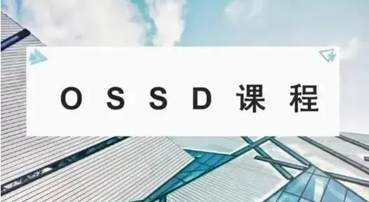 国际学校国际课程都有哪些？应该怎么选？