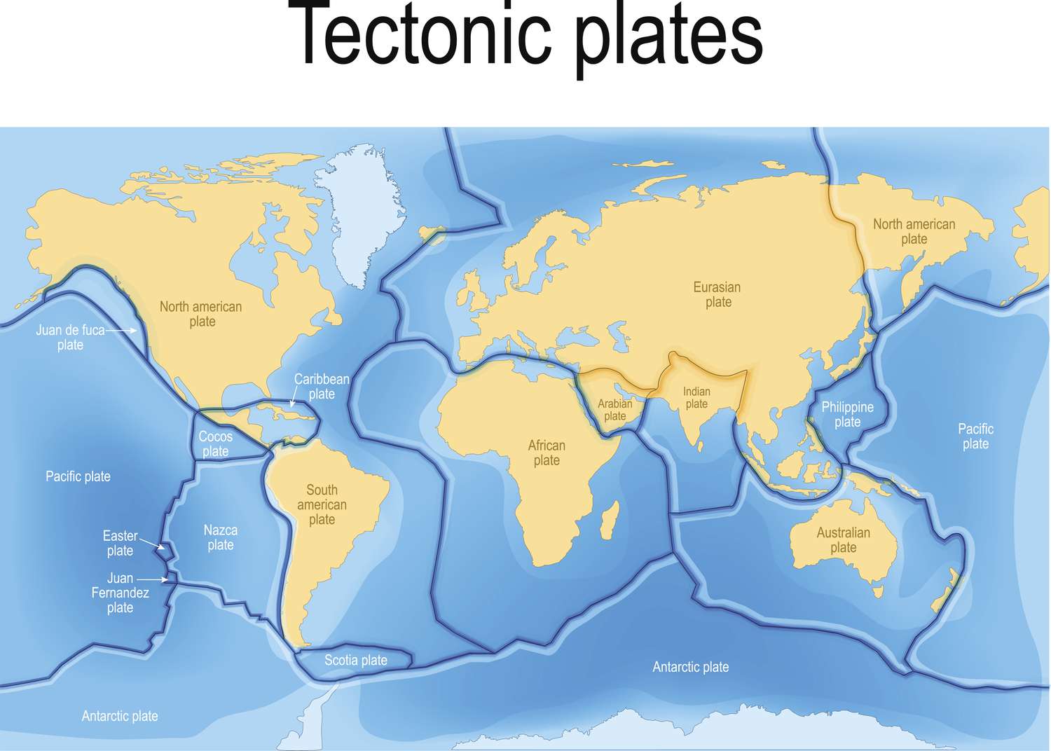 Tectonics构造培训有哪些？如何找到靠谱的？