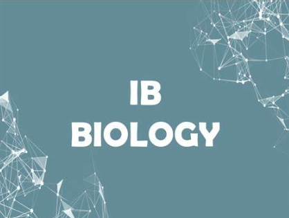 IB生物考点内容有哪些？如何评分？