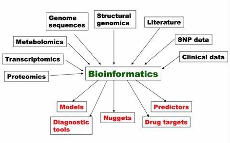 Bioinformatics培训有哪些？如何找到靠谱的？