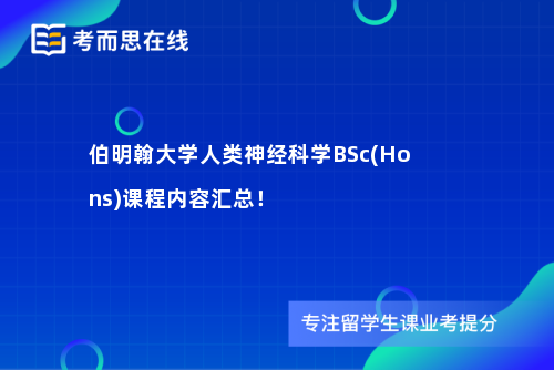 伯明翰大学人类神经科学BSc(Hons)课程内容汇总！