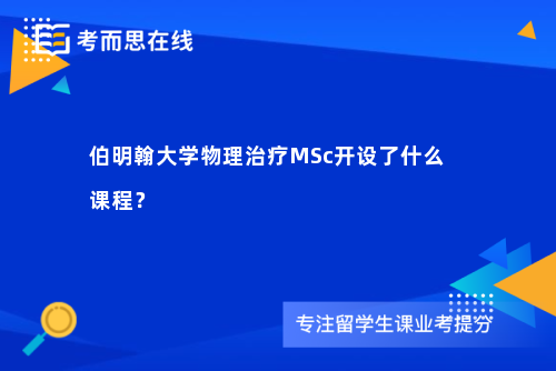 伯明翰大学物理治疗MSc开设了什么课程？