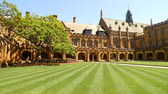 悉尼大学暑假辅导多少钱？