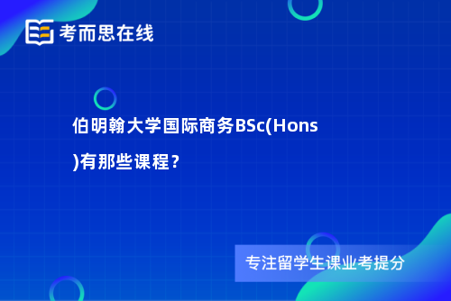 伯明翰大学国际商务BSc(Hons)有那些课程？