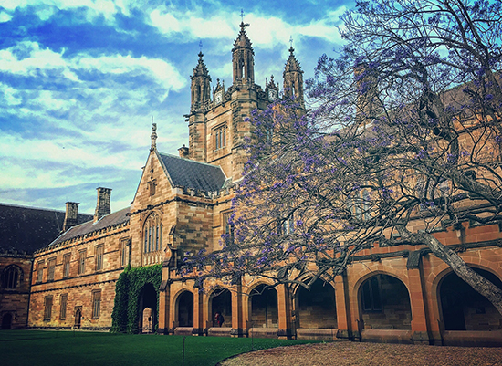 悉尼大学会计硕士和澳洲国立大学会计硕士哪个好？