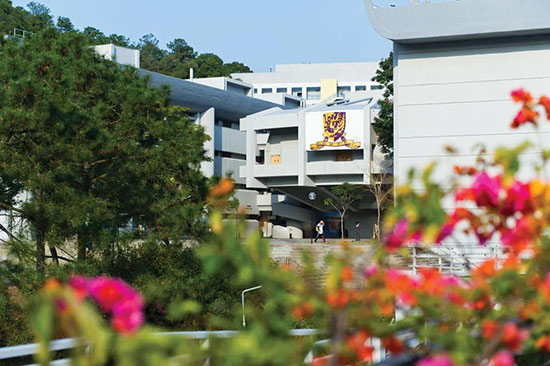 香港中文大学新媒体硕士课程难懂不会咋办？