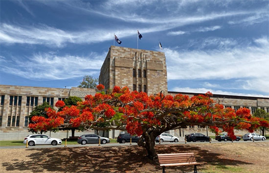 昆士兰大学发展经济学硕士课程学不懂怎么办？