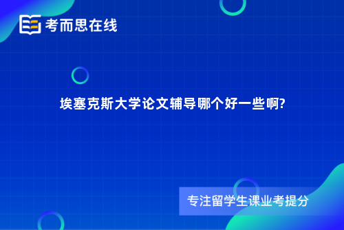 埃塞克斯大学论文辅导哪个好一些啊?