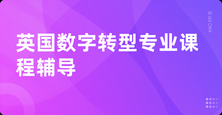 英国数字转型专业课程辅导
