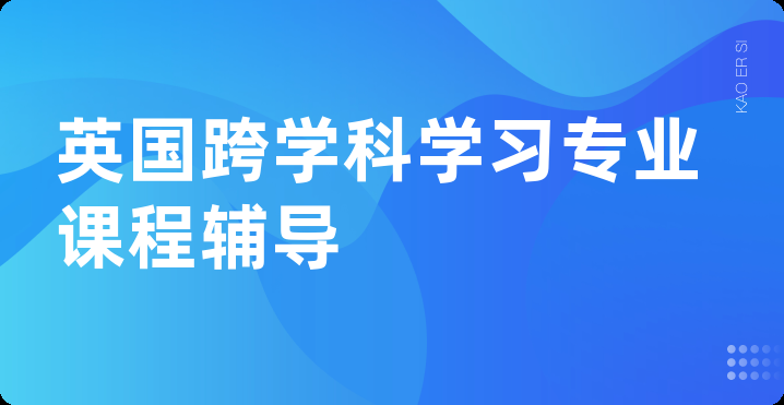 英国跨学科学习专业课程辅导