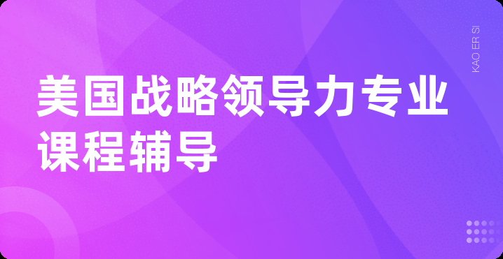 美国战略领导力专业课程辅导