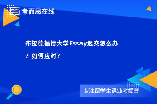 布拉德福德大学Essay迟交怎么办？如何应对？