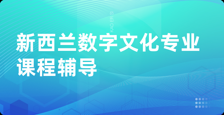 新西兰数字文化专业课程辅导