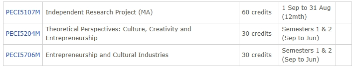 利兹大学CCE硕士专业选课指南,新生赶快查收!