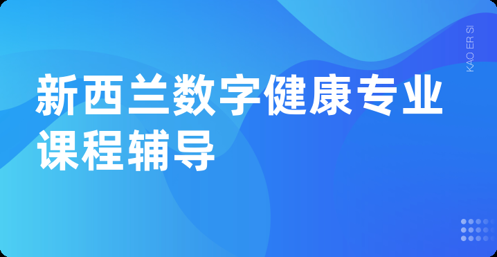 新西兰数字健康专业课程辅导