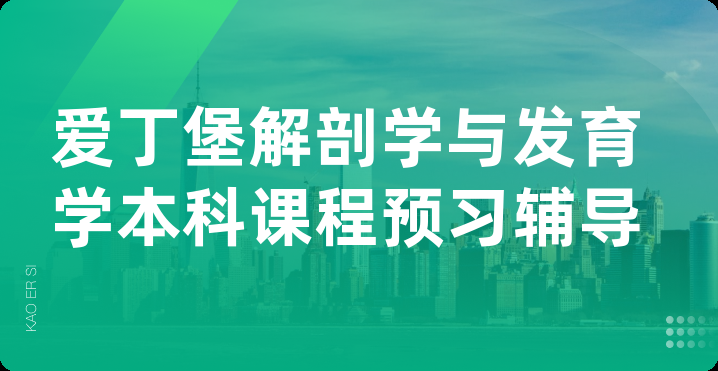 爱丁堡解剖学与发育学本科课程预习辅导