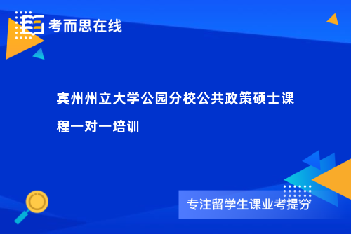 宾州州立大学公园分校公共政策硕士课程一对一培训