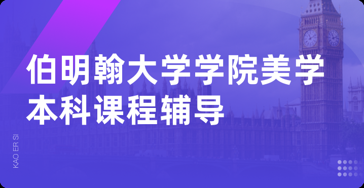 伯明翰大学学院美学本科课程辅导