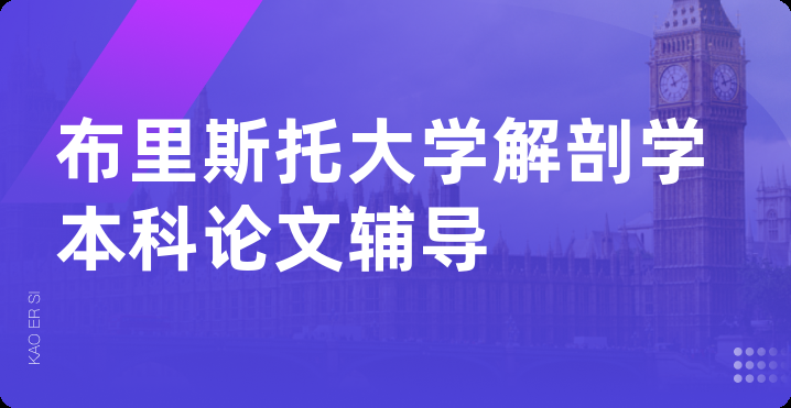 布里斯托大学解剖学本科论文辅导