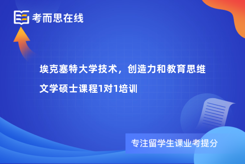 埃克塞特大学技术，创造力和教育思维文学硕士课程1对1培训