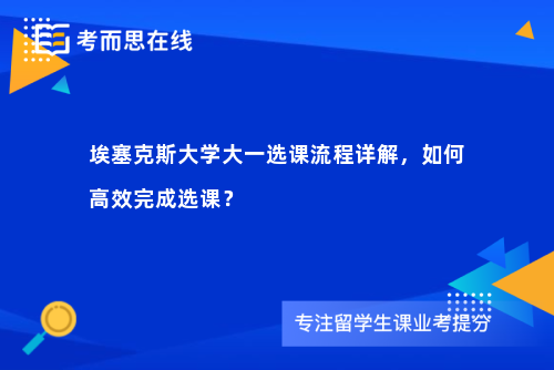 埃塞克斯大学大一选课流程详解，如何高效完成选课？