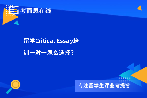 留学Critical Essay培训一对一怎么选择？