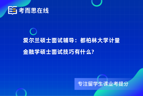 爱尔兰硕士面试辅导：都柏林大学计量金融学硕士面试技巧有什么?