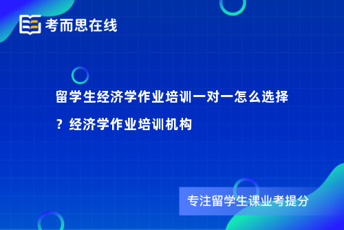 留学生经济学作业培训一对一怎么选择？经济学作业培训机构